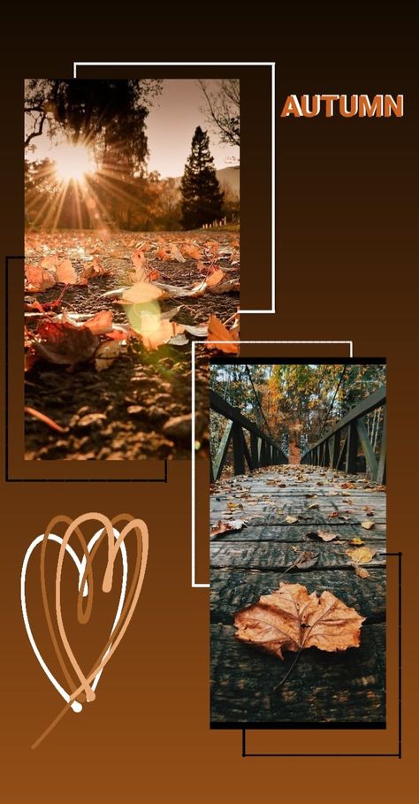 Instagram story idea about AUTUMN PHOTOGRAPHY Autumn Snapchat Stories, Autum Insta Story Ideas, October Instagram Story Ideas, Fall Story Ideas Instagram, Fall Stories Instagram, October Instagram Post Ideas, Autumn Posts Instagram, Autumn Aesthetic Instagram Story, Fall Instagram Story Ideas