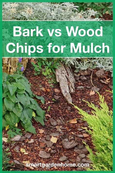 Woodchips Garden Landscaping, Woodchips Garden Ideas, Bark Garden Ideas, Bark Mulch Landscaping, Wood Chips Landscaping Ideas, Front Yard Aesthetic, Bark Landscaping, Bark Chippings Garden, Wood Chips Landscaping