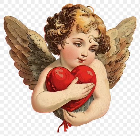 Cupid Valentine, Angel Cupid, Cupid Heart, Valentine Vintage, Angel Wings Art, Love Angel, Wings Art, Heart Illustration, Angel Face