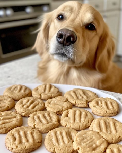 Honey & Peanut Butter Dog Cookies are an easy, healthy treat your pup will love. Make these simple cookies today! Dog Oatmeal Cookies, Healthy Dog Cookies, Iced Dog Cookies, Baked Dog Biscuits, Doggie Cookies Recipe, Dog Peanut Butter Cookies, Dog Cookies Recipe Peanut Butter, Peanut Butter Cookies For Dogs, Dog Cookies Recipe