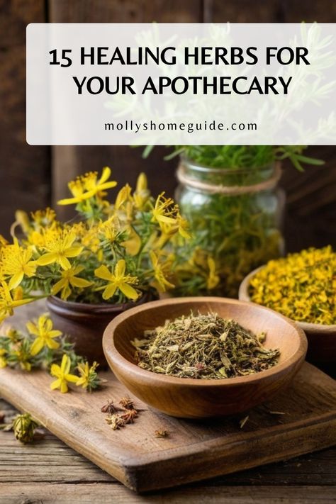 Herbs As Medicine, Holistic Herbs Herbal Medicine, Herb Medicine Recipes, Apothecary At Home, Herbal Apothecary Recipes, Herbs For Pain Relief, Herb Room, Herbs For Beginners, Homesteading Goals