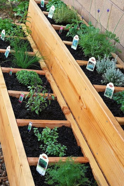 We've been slow to get things done in our yard, especially since I have a ton of ideas that I just can't commit to (hence my non-permanent patio options, like this hanging herb garden). However, we feel the need this year to finish off our old wooden raised garden bed, as it wasContinue reading Container Herb Garden, Raised Garden Bed Plans, Raised Bed Garden Design, Diy Garden Bed, Small Vegetable Gardens, Gardening Landscaping, Fleurs Diy, Diy Raised Garden, Raised Garden Beds Diy