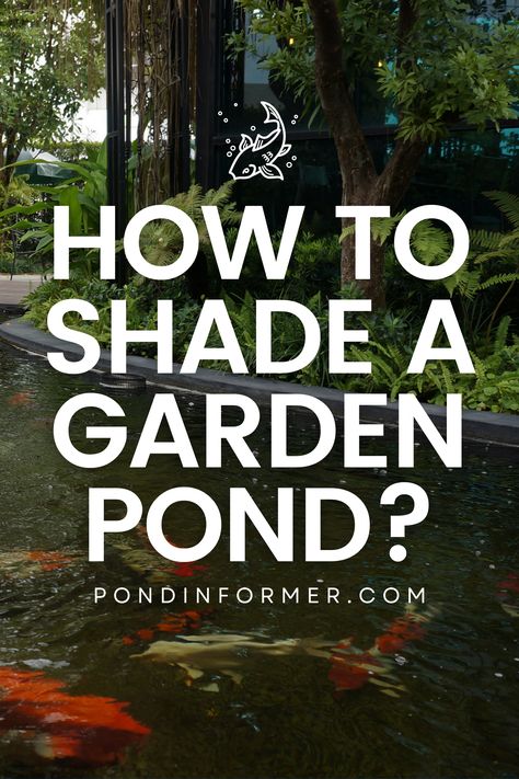 Transform your garden pond into a shaded retreat! Explore our guide with 4 simple steps to add a cooling canopy to your garden oasis. Dive in and create a tranquil haven for your aquatic treasures! #GardenPond #ShadeSolutions #Pond #ShadedGardenPond #Shade #PondCare #GardenIdeas #PondCareGuide #GardenTips Pond Shade Cover Ideas, Small Fish Pond Ideas, Large Pond Landscaping, Garden Pond Ideas, Pond Backyard, Koi Pond Backyard, Small Fish Pond, Best Plants For Shade, Pond Covers