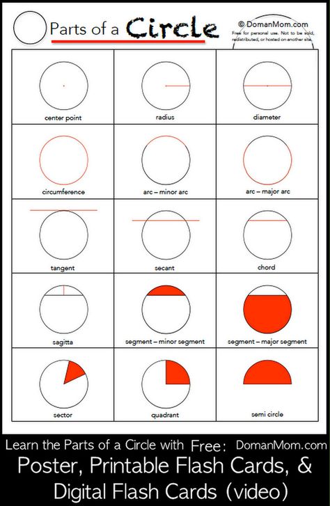 Parts of a Circle: Printable & Digital Flash Cards & Poster (Free) Parts Of Circle, Math Circle, Circle Worksheet, Circle Printable, Parts Of A Circle, Toddler Math, Cards Poster, Math Charts, Learning Mathematics