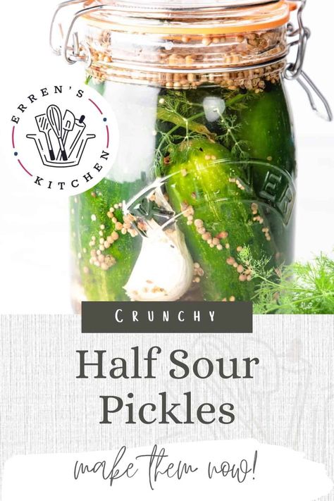 Lacto Fermented Pickles, Fermented Vegetables Recipes, Fermenting Weights, Sour Pickles, Fermented Pickles, Refrigerator Pickles, Pickling Spice, Pickled Garlic, Fermented Vegetables