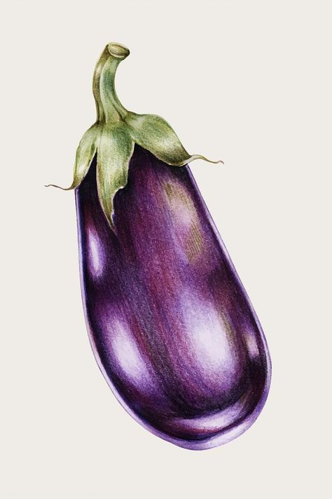 Eggplant Illustration, Colored Pencil Artwork Ideas, Vegetable Drawing, Fruit Art Drawings, Vegetable Print, Vegetable Painting, Color Pencil Sketch, Vegetable Illustration, Prismacolor Art