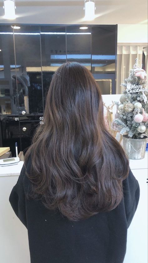 Korean Balayage Hair, Hair Inspo Asian, Korean Brown Hair, Korean Wavy Hair, Korean Long Hair, Brown Hair Looks, Hair Inspiration Long, Brown Hair Inspo, Hairstyles For Layered Hair