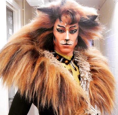 Rum Tum Tugger/Gallery2010s | 'Cats' Musical Wiki | Fandom Rum Tum Tugger, Musical Fanart, The Silver Chair, Jellicle Cats, Lion Costume, Cats Musical, Uk Tour, Cat Makeup, Presents For Him