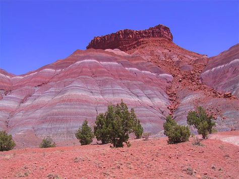 Painted Desert, Arizona Desert Arizona, Arizona Vacation, Painted Desert, Petrified Forest, Desert Life, Arizona Desert, Southwest Desert, Desert Painting, Arizona Travel