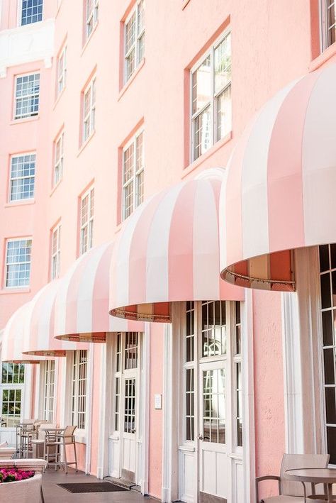 The Don Cesar Hotel, Motel Remodel, Tema Pink, Don Cesar Hotel, The Don Cesar, Don Cesar, Pink Hotel, Pink City, Wedding Party Ideas