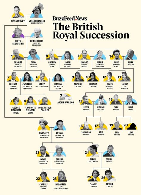 Royal Family Line Of Succession Queen Elizabeth Family Tree, Royal Line Of Succession, British Royal Family Tree, Royal Family Trees, Line Of Succession, Royal Family Pictures, English Royal Family, Prince Louis, Uk History