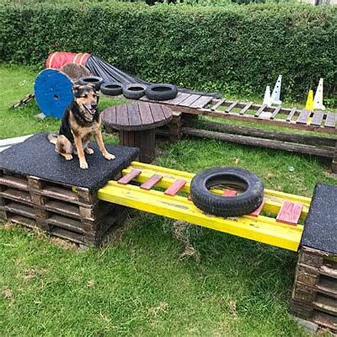 backyard puppy playground ideas - Yahoo Image Search Results Dog Playground Ideas, Diy Dog Playground, Dog Park Equipment, Outdoor Dog Area, Puppy Playground, Dog Play Area, Dog Friendly Backyard, Dog Backyard, Dog Agility Course