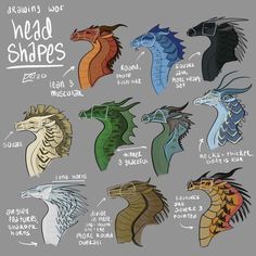 550 Wings of fire ideas in 2022 | wings of fire, wings of fire dragons, fire art Drawing Tips And Tricks, Tips On Drawing, Drawing Dragons, Fire Wings, Local Cryptid, Dragon Poses, Dragon Anatomy, Types Of Dragons, Fire Drawing