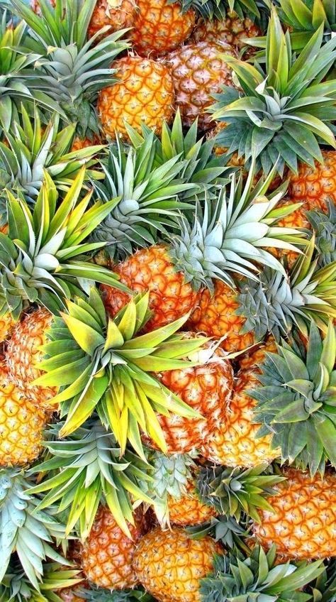 Pineapple Wallpaper, Fruit Wallpaper, Fruit Photography, Food Wallpaper, Beautiful Fruits, 수채화 그림, Exotic Fruit, Tropical Fruits, Fruit Art