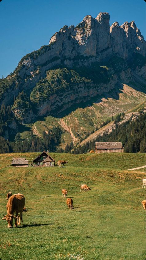 Swiss Village Aesthetic, Switzerland Aesthetic Landscape, Cottagecore Switzerland, Switzerland Mountains Aesthetic, Switzerland Cows Alps, Travel Photography Tips, Pretty Landscapes, Travel Photography Inspiration, Cool Landscapes