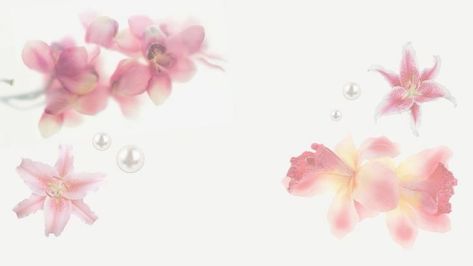 Pretty Ipad Backgrounds, Wallpaper Backgrounds Laptop Flowers, Pink Flower Macbook Wallpaper, Cute Mac Backgrounds, Laptop Widget Icon, Pink Flower Wallpaper Laptop, Pretty Slideshow Presentation, Ipad Homescreen Ideas Background Pink, Cute Backgrounds Aesthetic Desktop