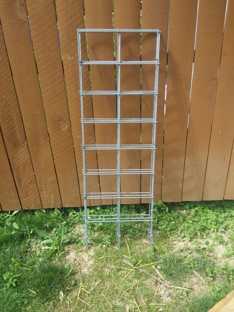 Cattle Panel Tomato Cage: Heavy Duty, Collapsible And Convenient DIY Build – diytype Cattle Panel Tomato Cage, Hog Panel Trellis Diy, Cattle Panel Garden, Tomato Cages Diy, Cattle Panel Trellis, Lattice Fence Panels, Panel Trellis, Tomato Support, Plant Cages