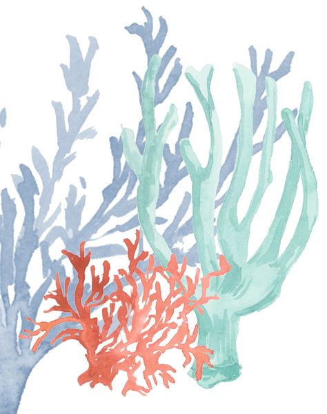 Sea Coastal Wall Art Set for Bathrooms Coral and Seaweed - Etsy Coral And Seaweed, Beachy Paintings, Beach House Pictures, Beachy Prints, Coral Pictures, Coral Painting, Beachy Wall Art, Custom Family Illustration, Beachy Art