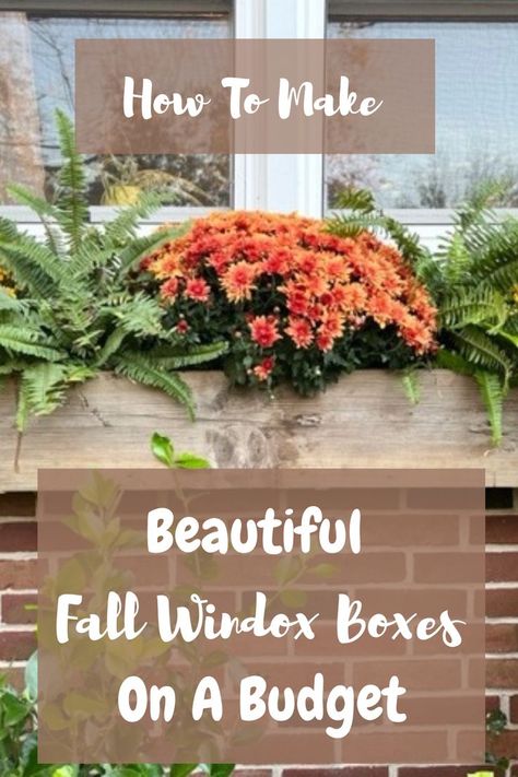 How to make fall window boxes on a budget | Fall window box with pumpkins and mums | Make a fall window box on a budget with pumpkins and mums | DIY fall window box | DIY fall window box idea | How to make your own DIY beautiful fall window box on a budget | DIY fall window box with pumpkins and mums | Fall decor | Fall decor on a budget | Budget friendly fall decor | Budget friendly fall window box idea with pumpkins and mums Fall Window Flower Box Ideas, Artificial Fall Window Boxes, Mums Window Boxes, Fall Outdoor Window Box Ideas, Mum Window Boxes, Fall Flower Boxes Window Mums, Fall Window Boxes Mums, Fall And Winter Window Box Ideas, Fall Flowers For Window Boxes