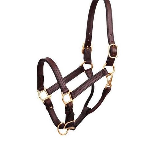 Need a fresh new leather halter for spring? We carry these gorgeous Perris halters that will last and look great for years to come 😍 1) PERRI’S 1″ SHOW HALTER: https://bonypony.com/product/perris-1-show-halter/ 2)PERRI’S 1″ PADDED HALTER: https://bonypony.com/product/perris-1-padded-halter/ 3) PERRI’S BRAIDED LEATHER HALTER https://bonypony.com/product/perris-braided-leather-halter/ Dover Saddlery, Used Saddles, Tack Shop, Equestrian Chic, Leather Halter, Gift Card Number, Stitching Leather, Horse Tack, Chic Boutique