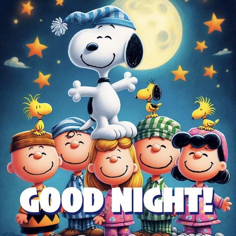 Peanuts Gang Quotes, Snoopy Good Night, Good Night Snoopy, Funny Good Night Pictures, Gang Pictures, Snoopy Sleeping, Gang Quotes, Goodnight Snoopy, Quotes Good Night