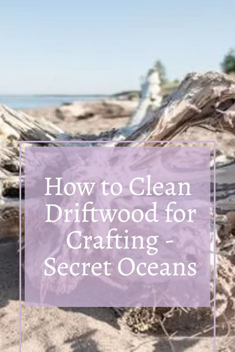 "Embark on a crafting journey with pristine driftwood! Learn the art of cleaning driftwood for your DIY projects, from removing debris to tackling stubborn grime. Dive into our step-by-step guide, ensuring your driftwood is a blank canvas ready for creative expression. Elevate your crafts with the natural charm of immaculately cleaned driftwood. Let's bring the beach to your creations! 🐚🎨 #DriftwoodCrafting #DIYProjects #NatureCrafts" Bleaching Driftwood Diy, How To Clean Driftwood Without Bleach, Cleaning Driftwood Without Bleach, Wood Burned Driftwood, Cleaning Driftwood How To, How To Make Driftwood Diy, How To Clean Driftwood Diy, Painting On Driftwood Ideas, How To Clean Driftwood