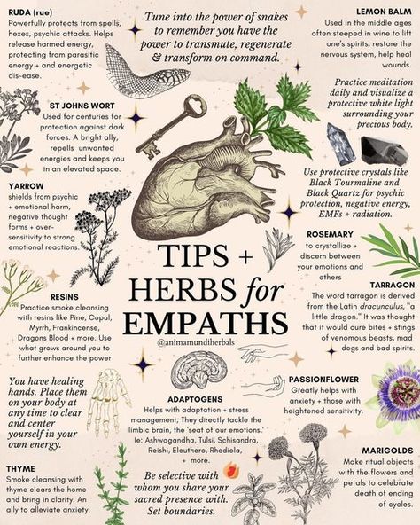 A N I M A M U N D I Apothecary on Instagram: "🔮Empaths🔮Tune into the power of snakes to remember you have the power to transmute, regenerate & transform on command. 🐍💕 If you identify as an empath or highly sensitive person, or know someone who does, this post is for you! We’ve rounded up some of our top favorite herbs to navigate energetics that are not always easy to palate, and for potent transformative So many plants 🪴 not pictured here that have profound spiritual and energetic propert Transmutation Herbs, Apothecary For Beginners, Herbs For Protection And Healing, Herbs For Positive Energy, Herbs For Physic Abilities, Herbs Of Leo, Herbs For Empaths, Beauty Herbs, Herbs In Witchcraft