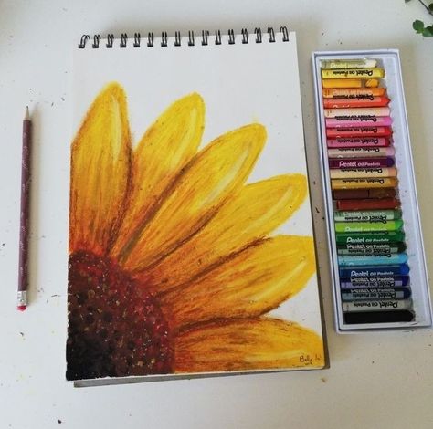 Things To Make With Oil Pastels, Painting By Oil Pastel, Drawing Ideas Oil Color, Oil Pastels Art Aesthetic, Drawing With Oil Color, Drawings Using Oil Pastels, Drawing In Oil Pastels, Sunflower Pastel Drawing, Sunflower Pastel Art