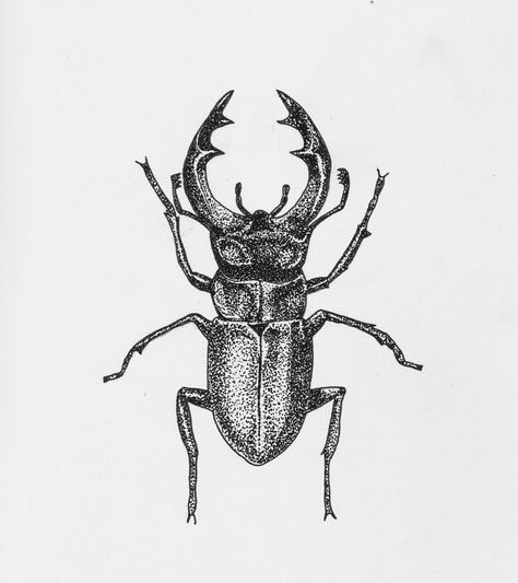 Pointillism or stippling illustration of a stag beetle. Art drawing micron ink on paper. Tattoo idea. Tattoo Ideas Dotwork, Stag Beetle Illustration, Stag Beetle Art, Pointillism Tattoo Design, Pointalism Tattoos, Stag Beetle Drawing, Big Tattoo Ideas, Tattoo Ideas Big, Stippling Illustration