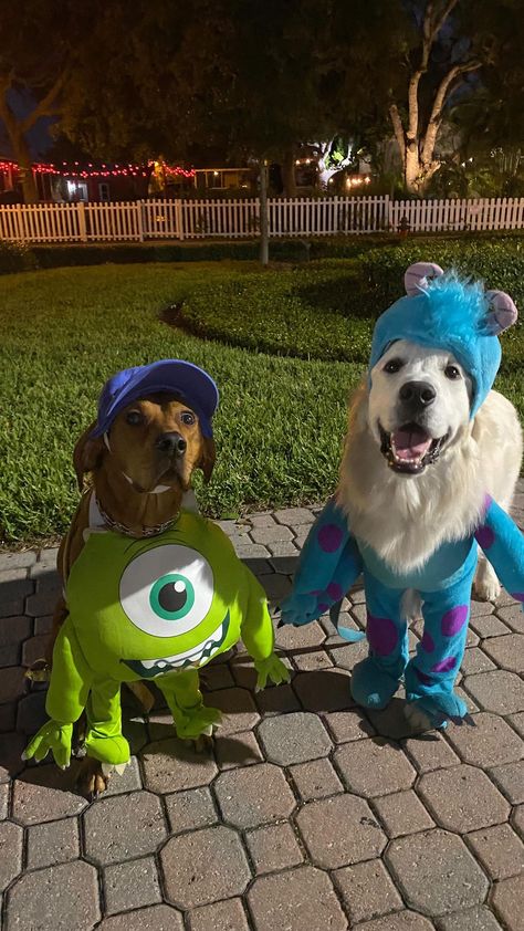 Cute Dog Halloween Costumes With Owner, Duo Halloween Costumes With Dog, Dog Monsters Inc Costume, Dog Costumes Ideas, Dog Costumes For Two Dogs, Duo Dog Halloween Costumes, Monsters Inc Dog Costume, Dog Duo Costumes, Cute Halloween Costumes For Dogs