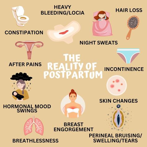 Postpartum Reality, Postpartum Care Kit, Pregnancy Help, Baby Delivery, Postpartum Health, Breastfeeding Essentials, Doula Services, Postpartum Support, Postpartum Doula