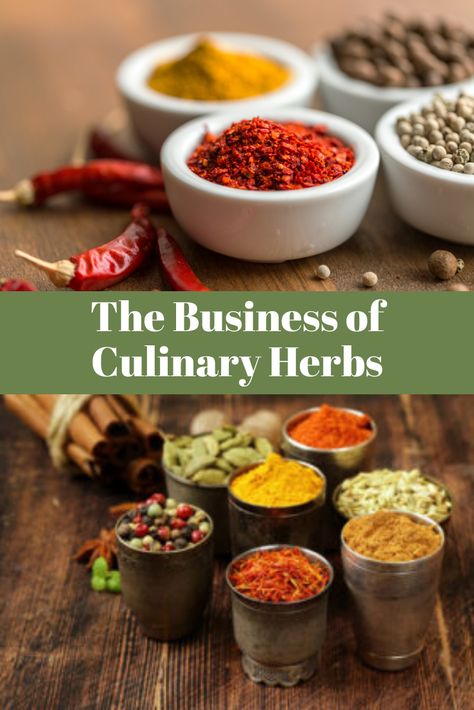 Herb Business, Herb Guide, Breads Recipes, Herb Farm, Herb Gardens, Farm Business, Mother Earth News, Culinary Herbs, Sustainable Business