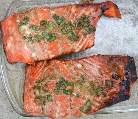 Green Onion Grilled Salmon made with @sizzlefishfit via @minutritionist Green Onions Recipes, Yummy Seafood, Salmon Dishes, Onion Recipes, Green Onion, Seasonal Food, Grilled Salmon, Real Ingredients, Baked Salmon