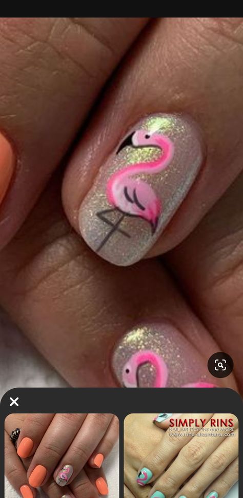 Flamingo Nails, Flamingo, Nails