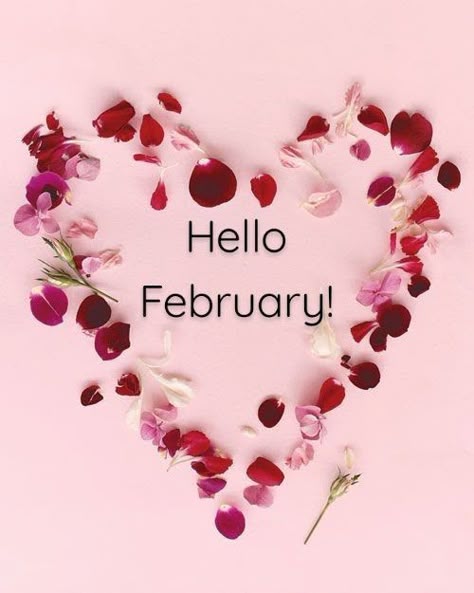 Hello February Wallpaper, New Month November, Happy New Month November, Hello New Month, February Images, Hello February Quotes, New Month Wishes, Welcome February, February Quotes