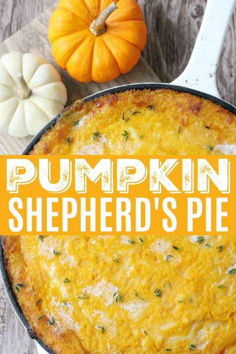 Pumpkin Recipes Savory, Pumpkin Recipes Dinner, Canned Pumpkin Recipes, Pumpkin Recipes Healthy, Recipes Savory, Savory Pumpkin Recipes, Pumpkin Recipes Easy, Shepherds Pie Recipe, Dessert Easy