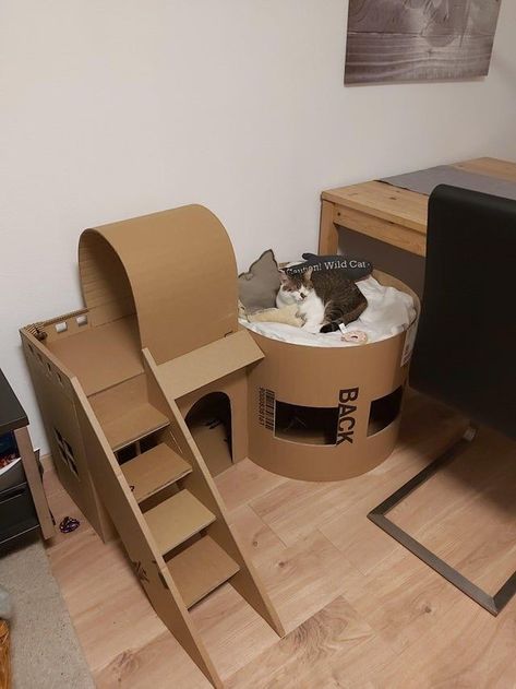 Cat House From Cardboard Boxes, Cardboard Cat House Ideas, Cat Building Ideas, Diy Cat Stuff Cardboard, Cardboard Box Houses For Cats, Diy Cat Cardboard Ideas, Cardboard Box Cat House Diy Ideas, Cat Cardboard Box Ideas Diy, Box Cat House Diy