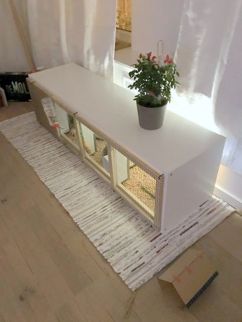 DIY rabbit house from IKEA KALLAX Diy Bunny Cage, Indoor Rabbit House, Diy Rabbit Cage, Rabbit Hutch Indoor, Indoor Rabbit Cage, Diy Rabbit Hutch, Diy Guinea Pig Cage, Bunny Hutch, Rabbit House