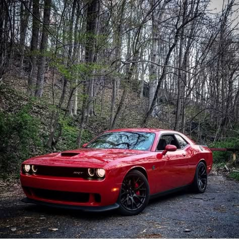 Dodge Challenger SRT Hellcat painted in Tor Red Photo taken by: @red_cat707 on Instagram Owned by: @red_cat707 on Instagram Red Challenger Dodge, Red Hellcat, Red Dodge Challenger, Red Dodge Charger, Red Challenger, Doge Challenger, Car Decorations Ideas, Red Charger, Suburban Aesthetic