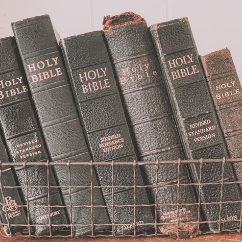 Old Bible Aesthetic, Odyssey Aesthetic, Withering Rose, Bible Bookshelf, Bible Collection, Old Bible, Bible Decor, Adventures In Odyssey, Vintage Bible