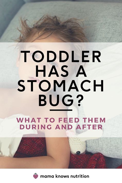 What To Feed Your Toddler During & After A Stomach Bug Easy On Tummy Recipes, Stomach Settling Foods, Gi Bug Remedies, Stomach Bug Smoothie, Best Food To Eat After Stomach Bug, Natural Remedies Stomach Bug, Peach Syrup For Stomach Bug, Toddler Stomach Ache Remedies, Recipes For Stomach Bug