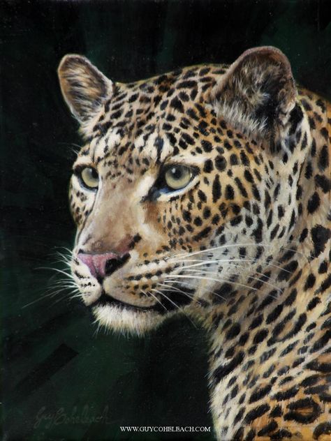 Leopard Portrait RHA 12 x 9 Leopard Painting, Leopard Art, Big Cats Art, Wildlife Paintings, Leopards, African Animals, Cat Portraits, Arte Animal, Cat Painting