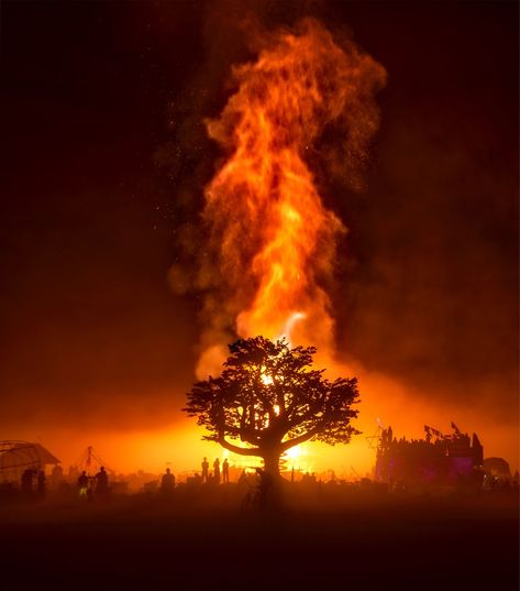 Magdiel Lopez, Fire Photography, Fire Burning, Fire Signs, Forest Fire, Photo Editing Software, Burning Man, Amazing Nature, 그림 그리기