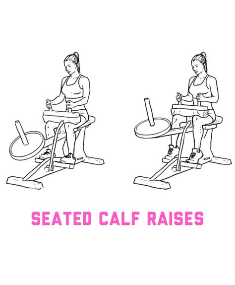 Seated calf raises Seated Calf Raises, Friday Workout, Calf Raises, Lower Body, Gym