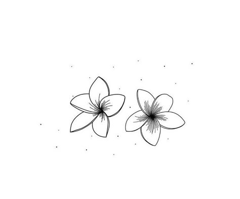 2 Flower Tattoo Design, Fragipanni Flower Tattoo, Plumeria Flower Tattoos Black And White, Hawaii Flower Tattoo Plumeria, Tiare Flower Tattoo, Fine Line Frangipani Tattoo, Frangipani Tattoo Fine Line, Frangipani Tattoo Designs, Plumeria Flowers Tattoo