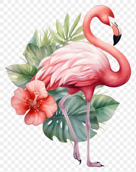 Flamingo Aesthetic, Flamingo Background, Flamingo Animal, Flamingo Clipart, Flamingo Vector, Stitching Designs, Plant Png, Tot Bag, Rose Illustration