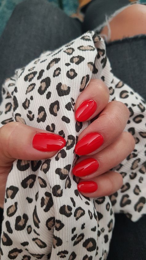 Strawberry Red Nails, Candy Red Nails, Candy Apple Red Nails, Red Shellac Nails, Strawberry Art, Brow Lash, Shellac Nails, Candy Apple Red, Red Candy