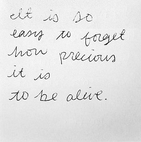 It is so easy to forget how precious it is to be alive. Life Is Precious, Life Is, Writing, Tumblr, Twitter, Quotes