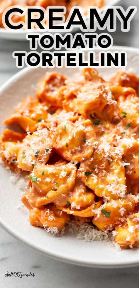 Creamy Tomato Tortellini, Cheese Tortellini Recipes, Tomato Tortellini, Peach Kitchen, Tortellini Recipes, Meatless Dinner, Pasta Dinners, Pasta Dinner Recipes, Supper Recipes