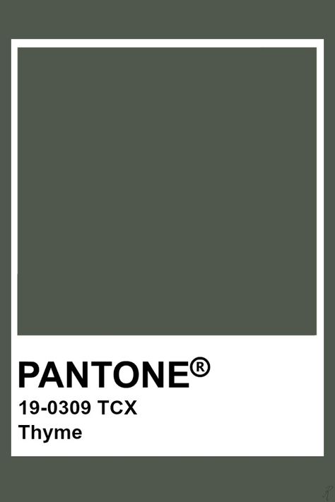 Pantone Thyme Pantone Verde, Pantone Tcx, Pantone Green, Pantone Color Chart, Pantone Swatches, Pantone Palette, Pantone Colour Palettes, Forest Night, Pantone Colors